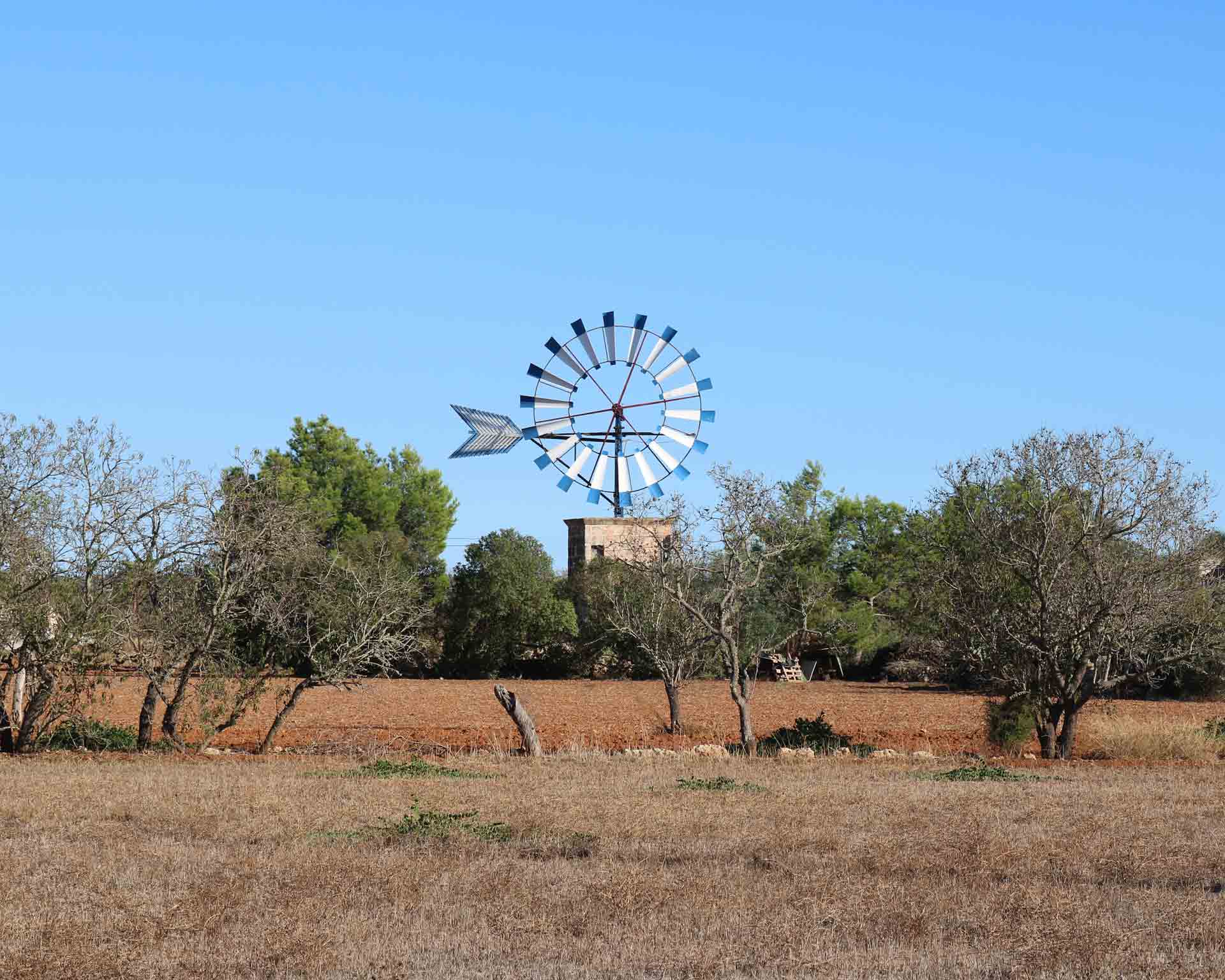 Molinos de viento de Mallorca Azert correduría de seguros